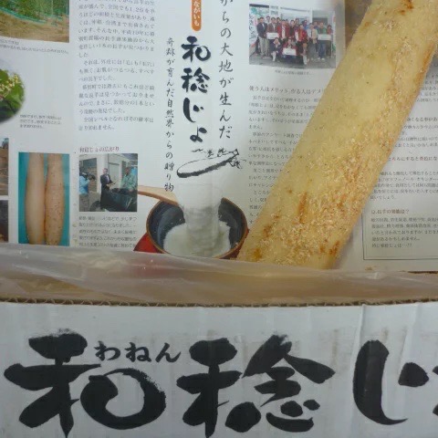 通販ショップの開拓ショップえぞえぞで販売している北海道十勝幕別産の長いものブランド和稔じょの商品写真です。