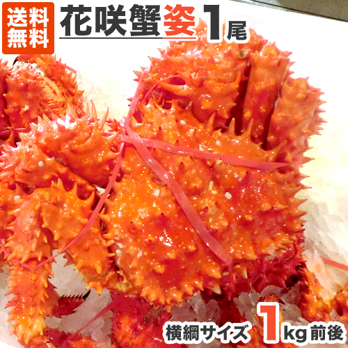 通販ショップのウオスで販売している花咲蟹特大1キログラムが1尾の商品写真です。写真には真っ赤な花咲蟹が写っています。コメントには送料無料と書かれています。