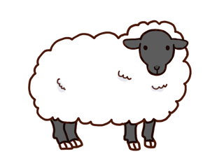 白い羊のイラスト。毛は白いが肌は黒い種類の羊が描かれている。